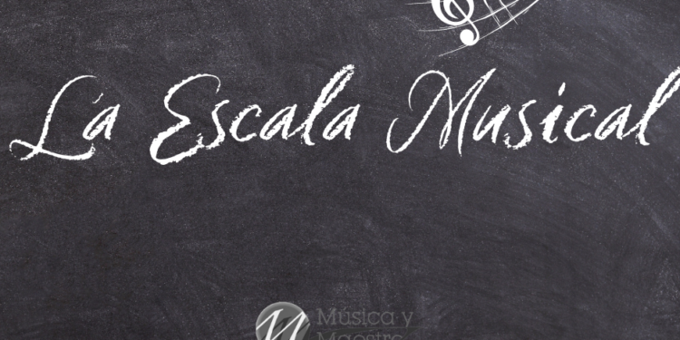 La Escala Musical – Conceptos Básicos