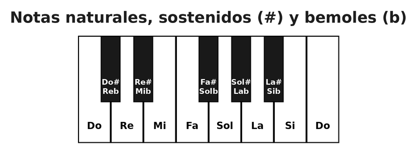 Teclado del piano con las notas naturales y los sostenidos y bemoles de las teclas negras