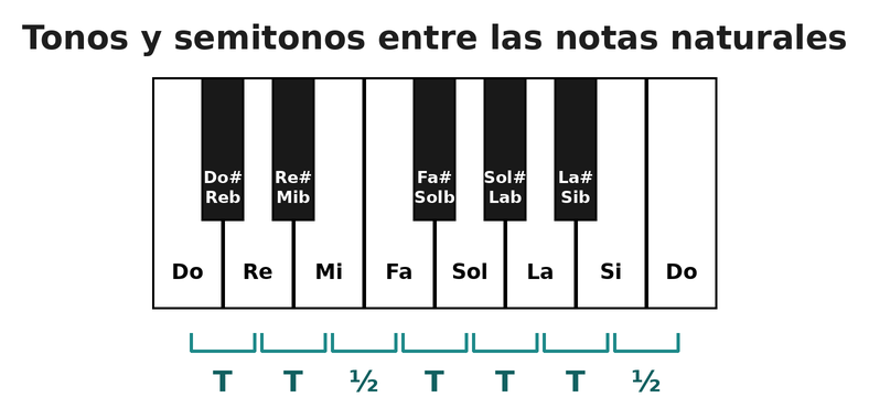 Tonos y semitonos entre las notas naturales en el teclado del piano